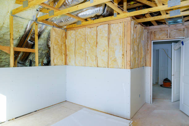 Best Insulation Removal  in West Elmira, NY