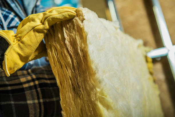 Best Insulation Contractor Near Me  in West Elmira, NY