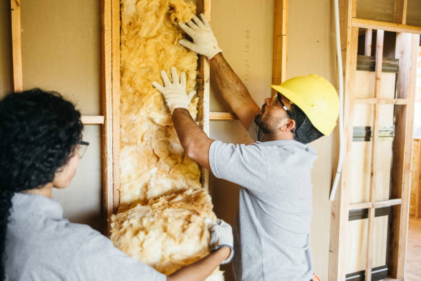Best Insulation Replacement Services  in West Elmira, NY