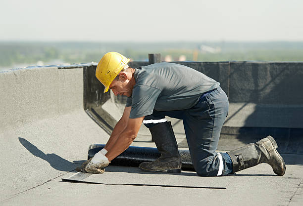 Best Local Insulation Services  in West Elmira, NY