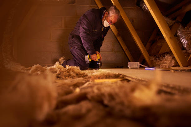 Best Energy-efficient Insulation  in West Elmira, NY