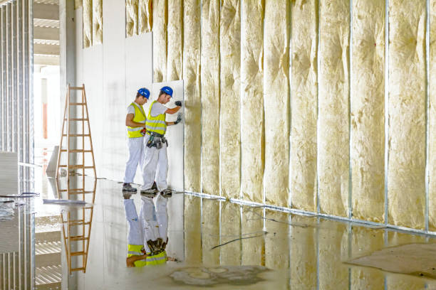 Best Attic Insulation Installation  in West Elmira, NY